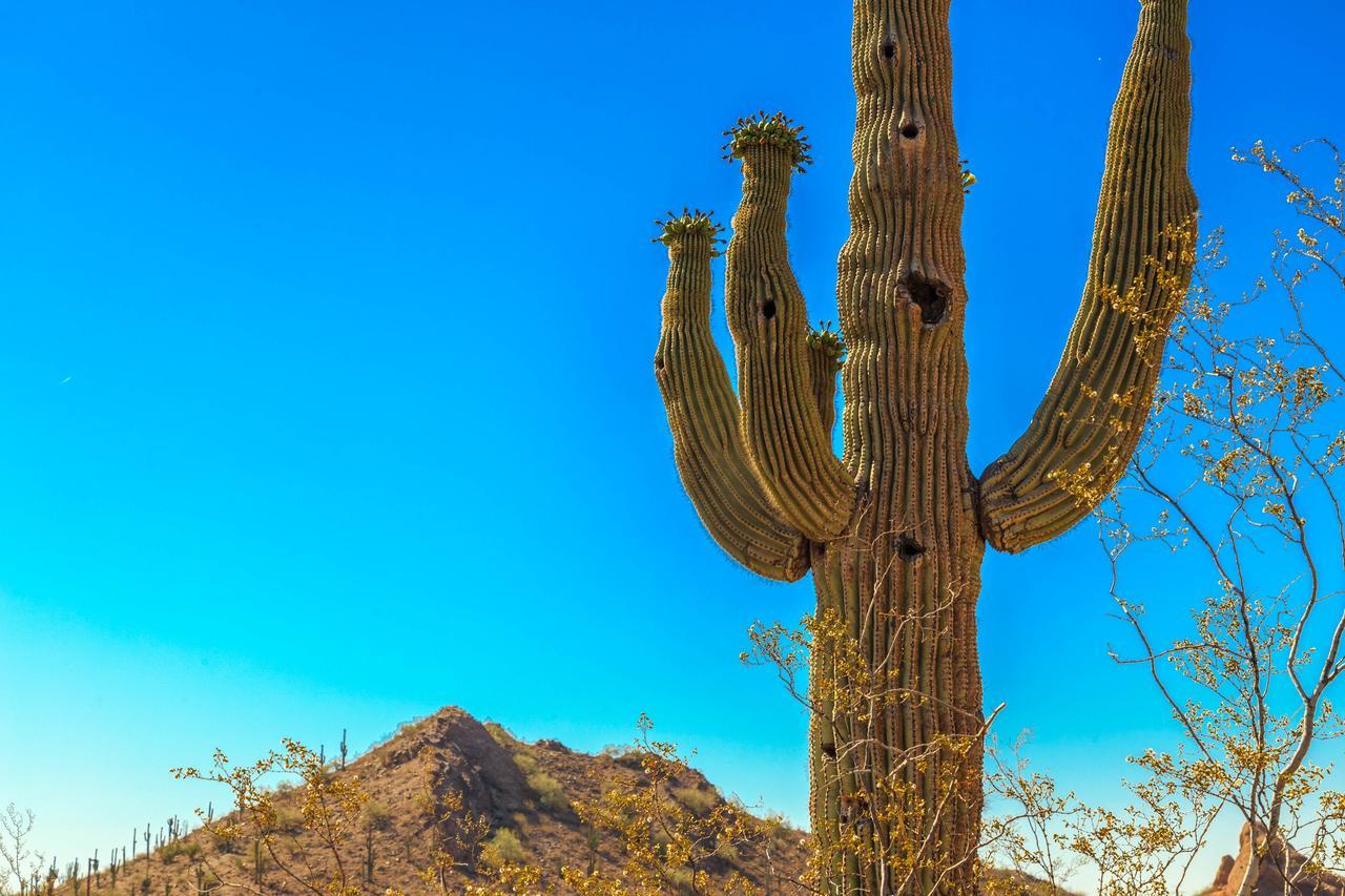 Esplendora Lägenhet Tucson Exteriör bild